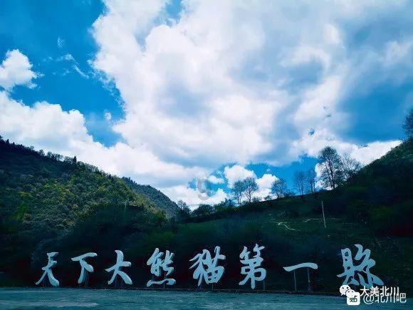 AI绘画二次元精美壁纸,蜘蛛侠美女